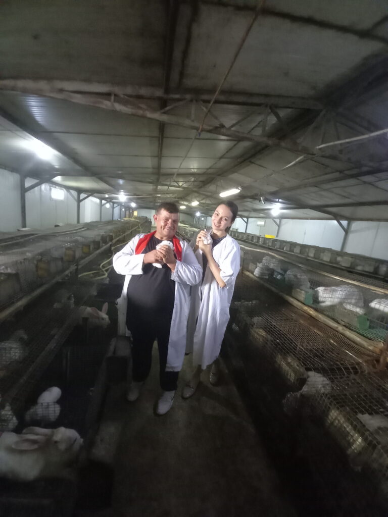 CARNE DE IEPURE BIO DE LA BRĂVICENI